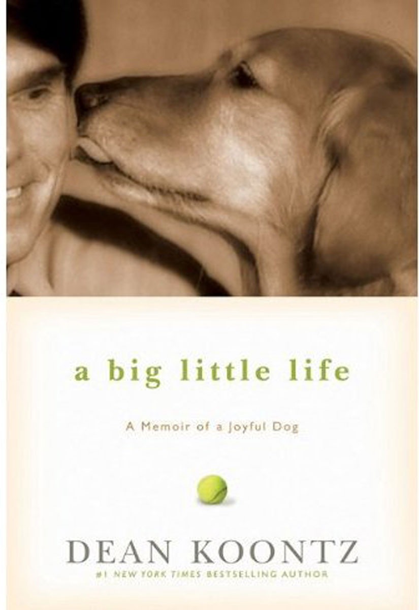 A Big Little Life