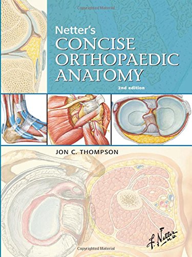 Netter's Concise Orthopaedic Anatomy (Netter Basic Science)