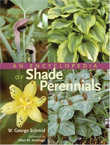 An encyclopedia of shade perennials