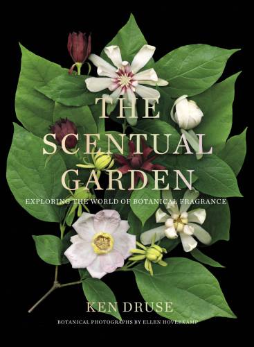 Scentual Garden