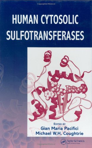 Human cytosolic sulfotransferases