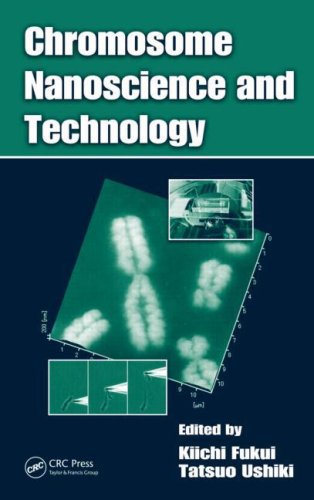 Chromosome nanoscience and technology