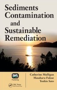 Sediments Contamination and Sustainable Remediation