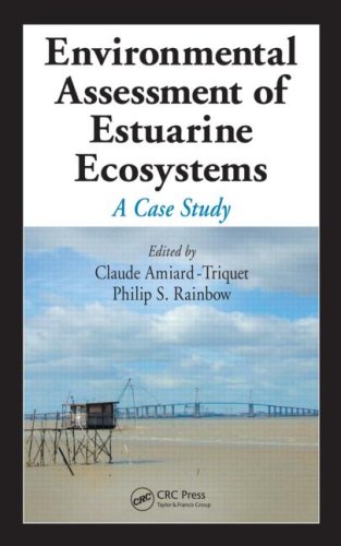 Environmental assessment of estuarine ecosystems : a case study