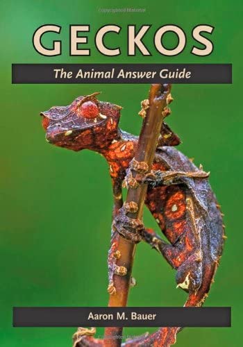 Geckos: The Animal Answer Guide (The Animal Answer Guides: Q&amp;A for the Curious Naturalist)