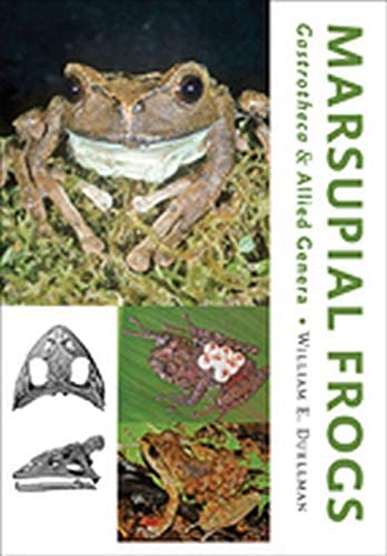Marsupial Frogs: Gastrotheca&nbsp;and Allied Genera