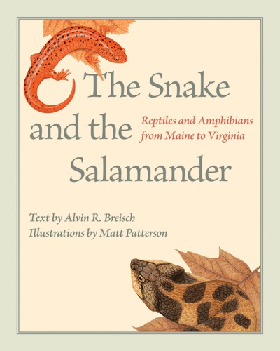 The Snake and the Salamander