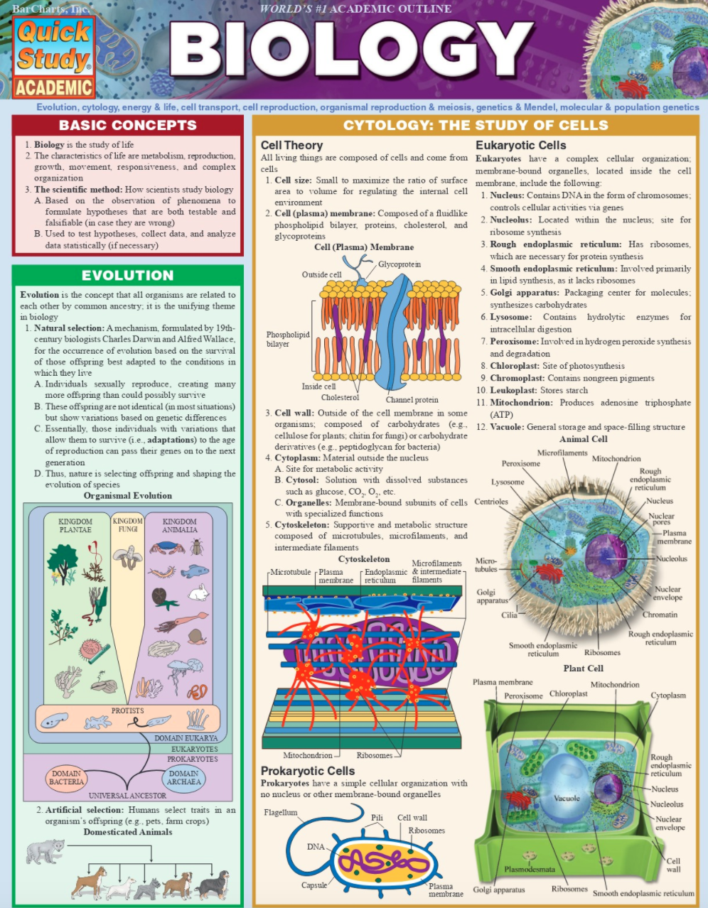 Biology (Quickstudy Books)