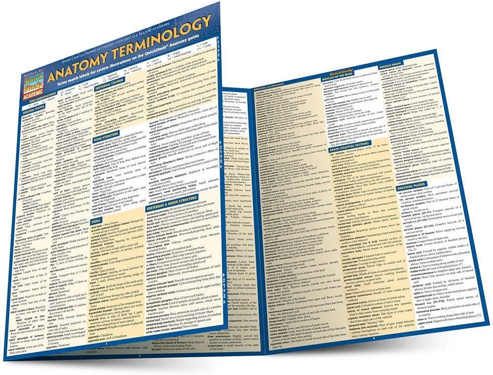 Anatomy Terminology (Quick Study Academic)