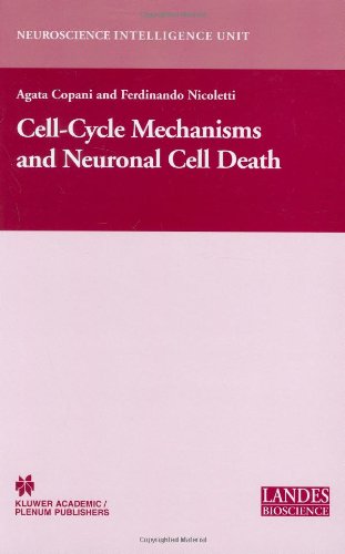 Cell-cycle mechanisms and neuronal cell death