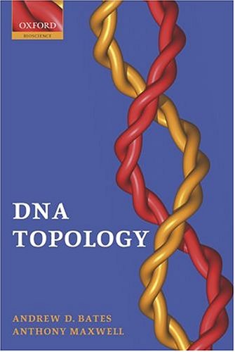 DNA topology.