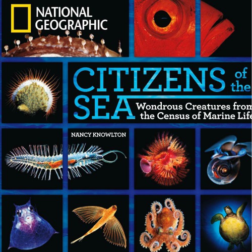 Citizens of the Sea