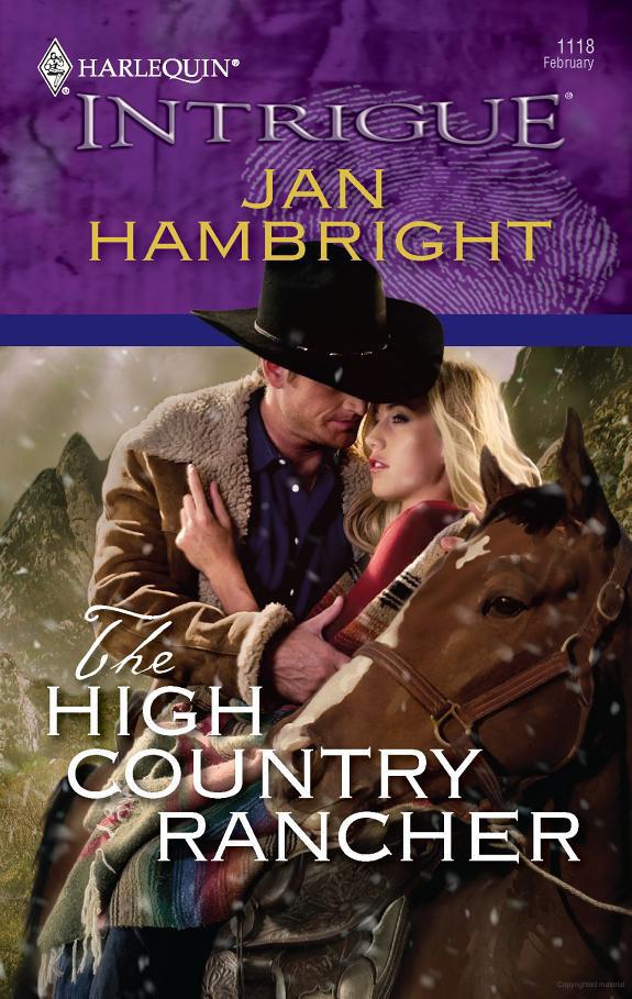 The High Country Rancher