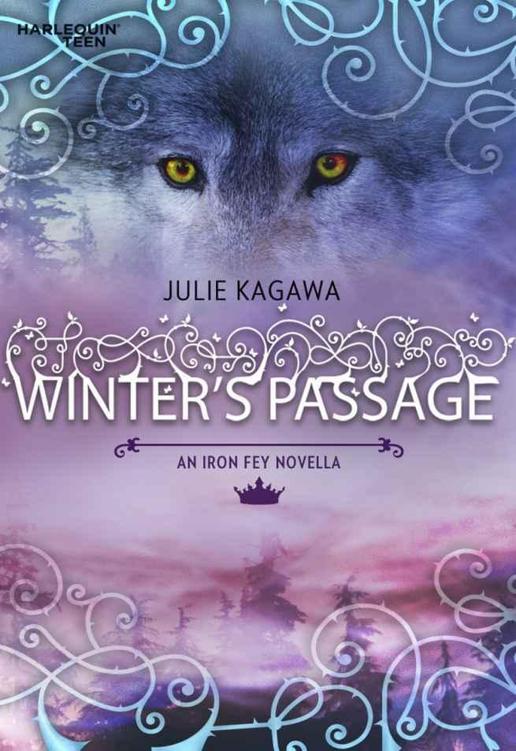 Winter's Passage