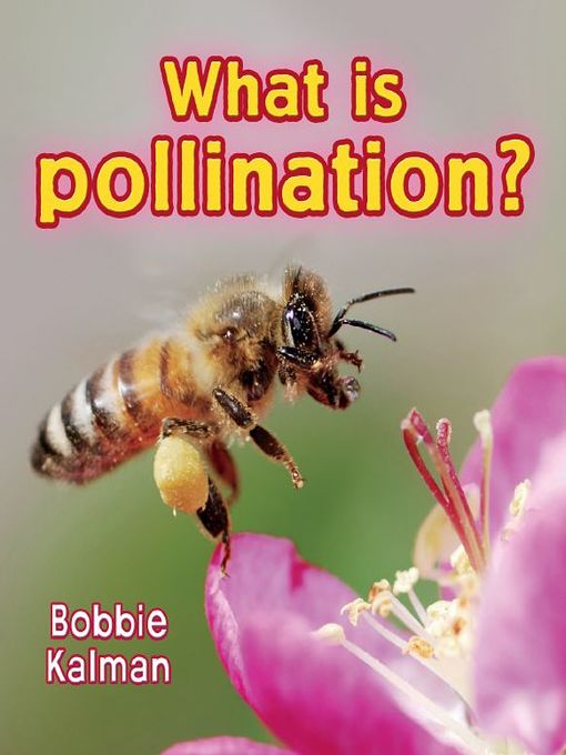 What is Pollination?