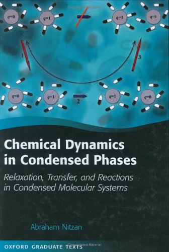 Chemical dynamics in condensed phases : relaxation, transfer and reactions in condensed molecular systems