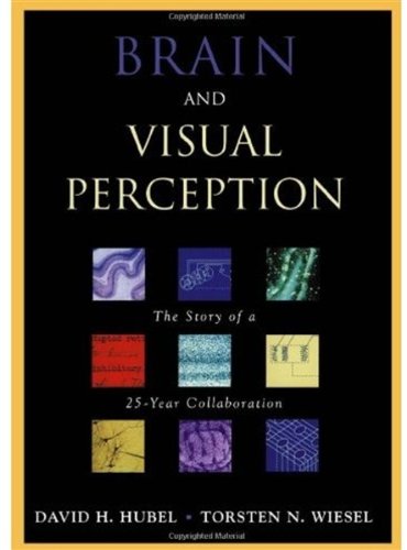 Brain and visual perception : the story of a 25-year collaboration