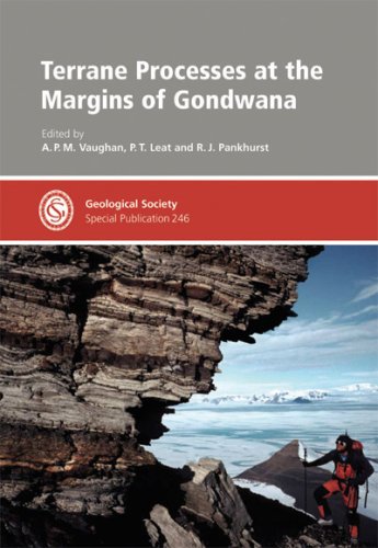 Terrane processes at the margins of Gondwana