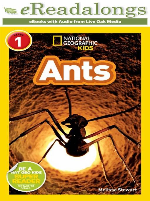 Ants