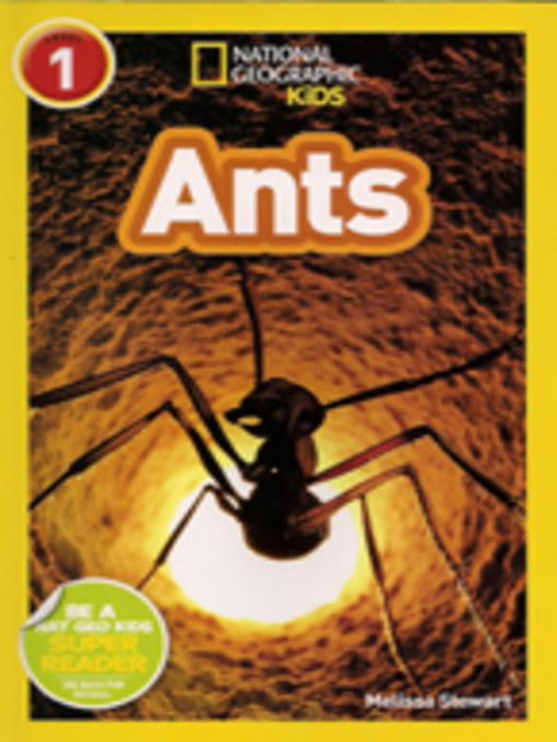 Ants