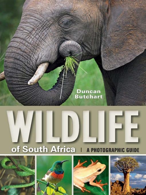 Wildlife of South Africa