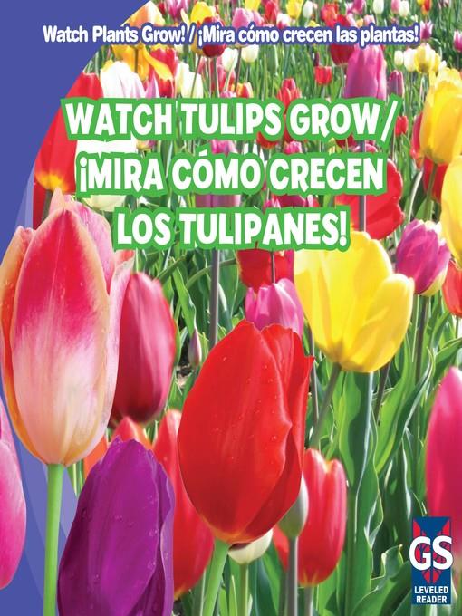 Watch Tulips Grow / ¡Mira cómo crecen los tulipanes!