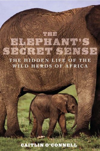 The elephant's secret sense : the hidden life of the wild herds of Africa