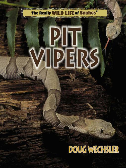 Pit Vipers
