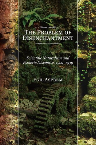 The Problem of Disenchantment