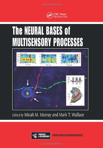 The Neural Bases of Multisensory Processes