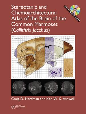 Stereotaxic and Chemoarchitectural Atlas of the Brain of the Common Marmoset (Callithrix Jacchus)