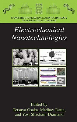 Electrochemical Nanotechnologies (Nanostructure Science And Technology)