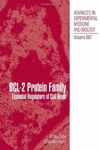 Bcl-2 Protein Family