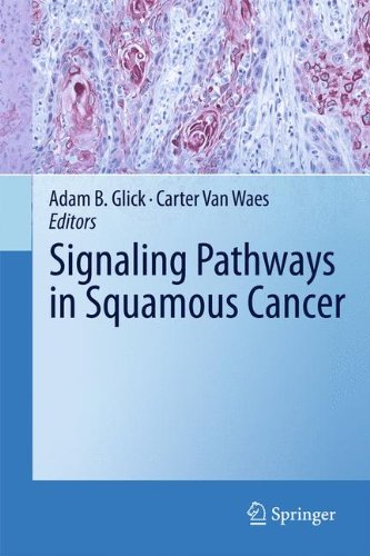 Signaling Pathways in Squamous Cancer [recurso electrónico].