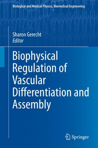 Biophysical Regulation Of Vascular Differentiation And Assembly (Biological And Medical Physics, Biomedical Engineering)