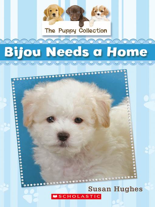 Bijou Needs a Home