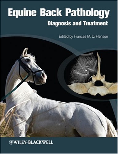 Equine Back Pathology