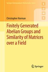 Finitely Generated Abelian Groups and Similarity of Matrices Over a Field