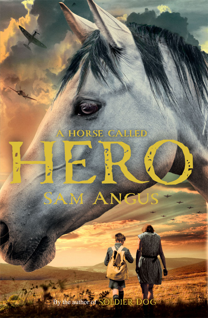 A Horse Called Hero