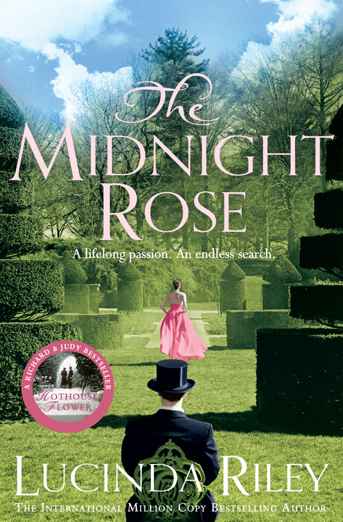 The midnight rose