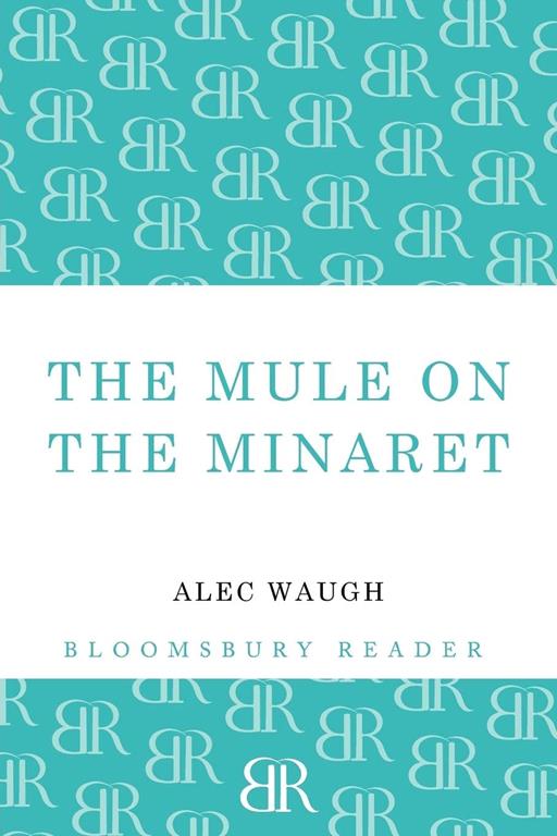 Mule on the Minaret