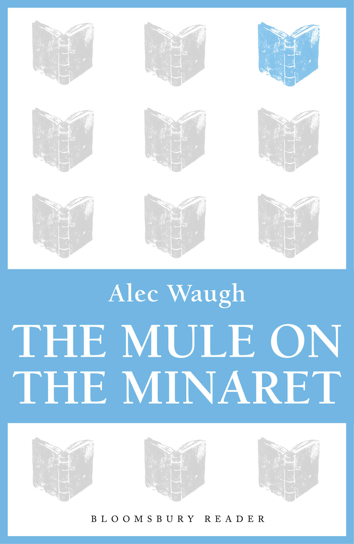 The Mule on the Minaret