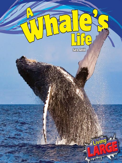A Whale's Life