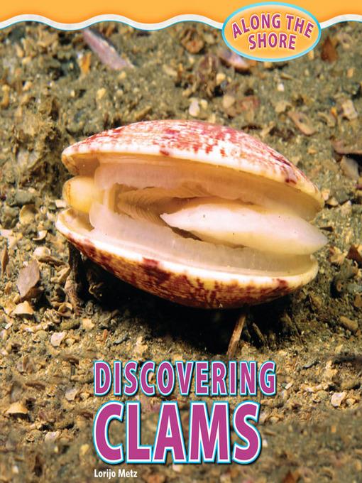 Discovering Clams