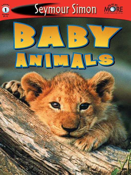 Baby Animals