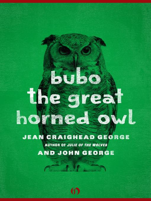 Bubo, the Great Horned Owl