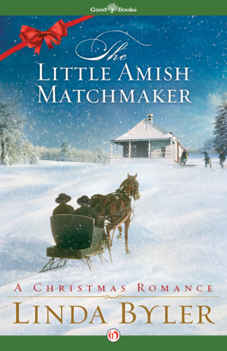 Little Amish Matchmaker