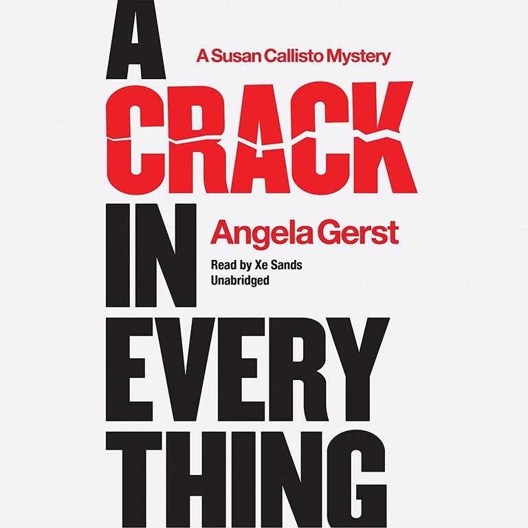 A Crack in Everything (Susan Callisto Mysteries, Book 1) (Susan Callisto Mysteries (Audio))