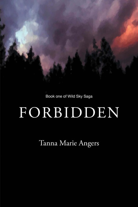 Forbidden (Wild Sky, #1)