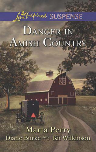 Danger in Amish Country: Fall from Grace\Dangerous Homecoming\Return to Willow Trace